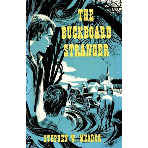 The Buckboard Stranger - Paperback