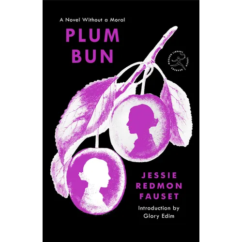Plum Bun: A Novel Without a Moral - Paperback