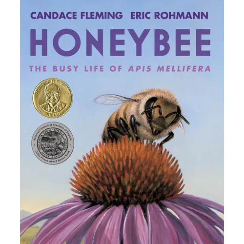 Honeybee: The Busy Life of APIs Mellifera - Paperback