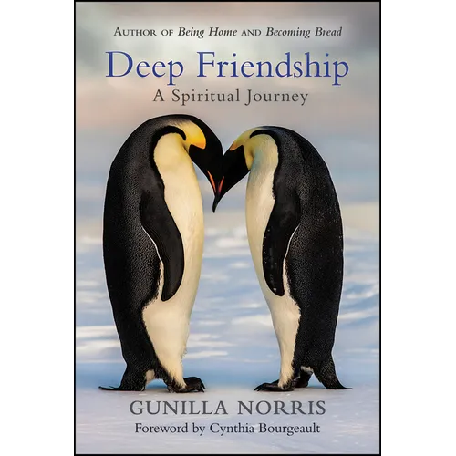 Deep Friendship: A Spiritual Journey - Paperback
