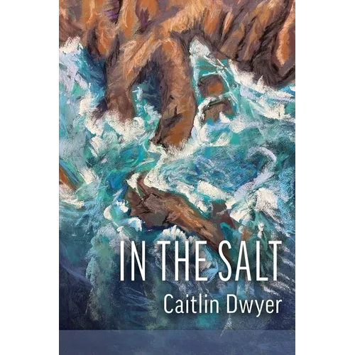 In the Salt - Paperback