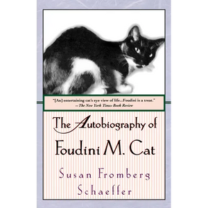 The Autobiography of Foudini M. Cat - Paperback