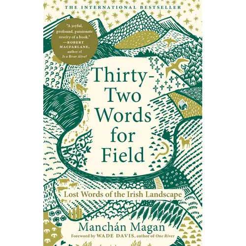 Thirty-Two Words for Field: Lost Words of the Irish Landscape - Paperback