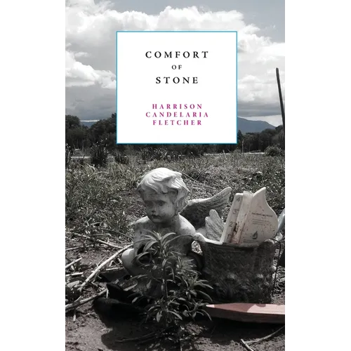 Comfort of Stone - Paperback