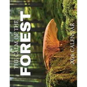 The Calm of the Forest 2026 Calendar - Paperback