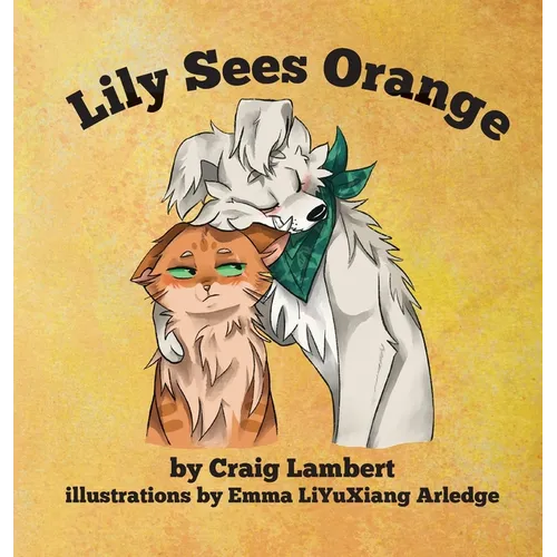 Lily Sees Orange - Hardcover