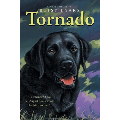 Tornado - Paperback