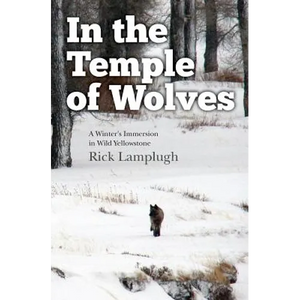 In the Temple of Wolves: A Winter's Immersion in Wild Yellowstone - Paperback