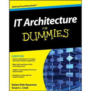 It Architecture for Dummies - Paperback