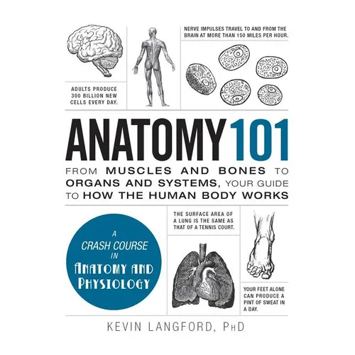 Anatomy 101: From Muscles and Bones to Organs and Systems, Your Guide to How the Human Body Works - Hardcover