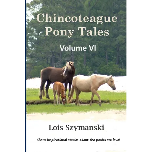 Chincoteague Pony Tales: Volume VI - Paperback
