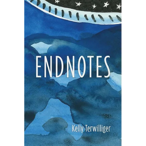 Endnotes - Paperback
