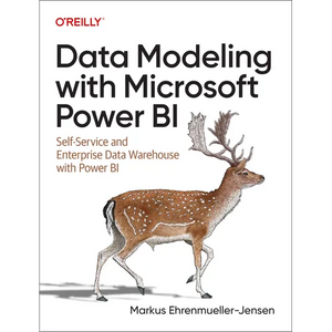 Data Modeling with Microsoft Power BI: Self-Service and Enterprise Data Warehouse with Power BI - Paperback
