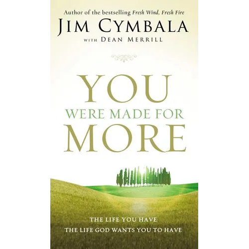 The You Were Made for More: The Life You Have, the Life God Wants You to Have - Paperback