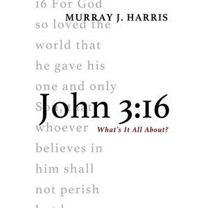 John 3:16: What's It All About? - Hardcover