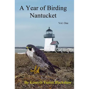 A Year of Birding Nantucket - Paperback
