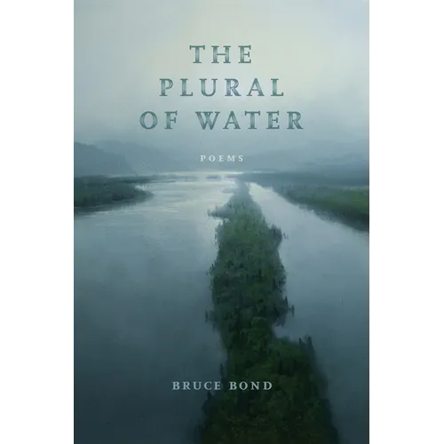 The Plural of Water: Poems - Paperback