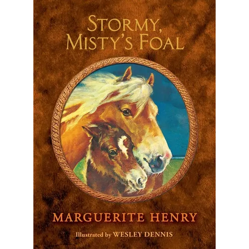 Stormy, Misty's Foal - Hardcover