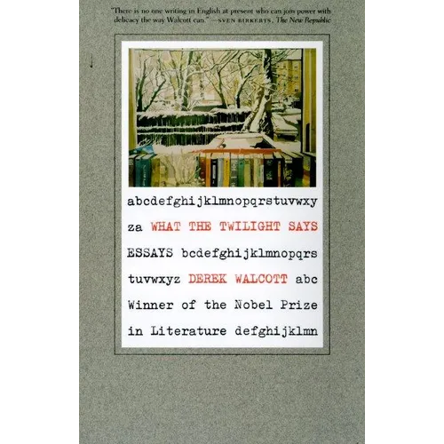 What the Twilight Says: Essays - Paperback