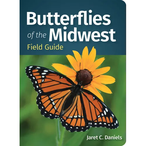 Butterflies of the Midwest Field Guide - Paperback