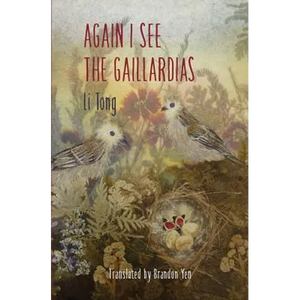 Again I See the Gaillardias - Paperback