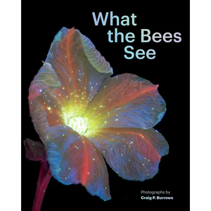 What the Bees See: A Honeybee's Eye View of the World - Hardcover