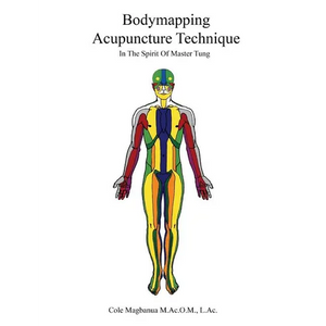 Bodymapping Acupuncture Technique: In the Spirit of Master Tung - Paperback