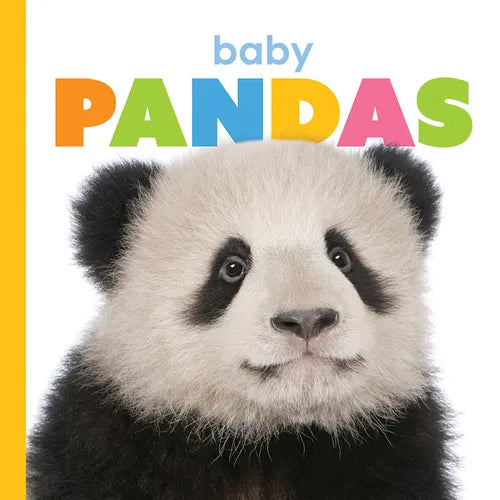 Baby Pandas - Board Book