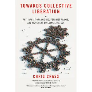 Towards Collective Liberation: Anti-Racist Organizing, Feminist Praxis, and Movement Building Strategy - Paperback