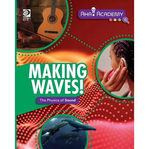 Making Waves! The Physics of Sound - Paperback