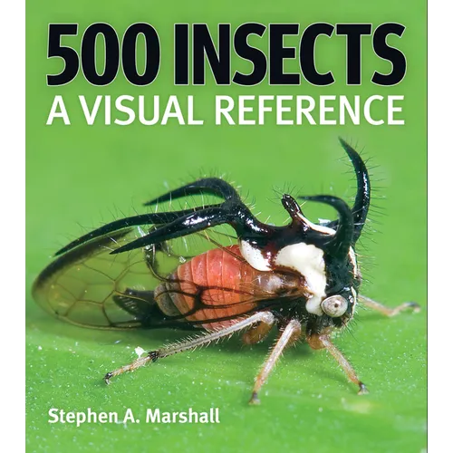 500 Insects: A Visual Reference - Paperback