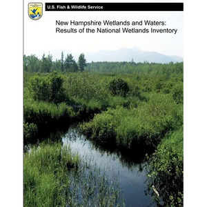 New Hampshire Wetlands and Waters: Results of the National Wetlands Inventory - Paperback