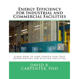 Energy Efficiency for Industrial and Commercial Facilities: Best Low Cost Opportunities for Existing Facilities - Paperback
