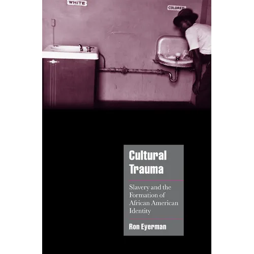 Cultural Trauma: Slavery and the Formation of African American Identity