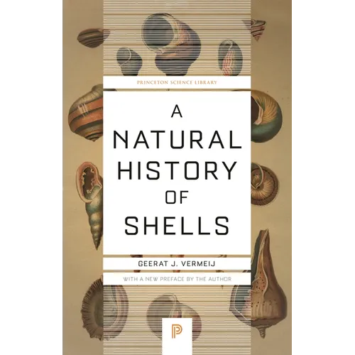 A Natural History of Shells - Paperback