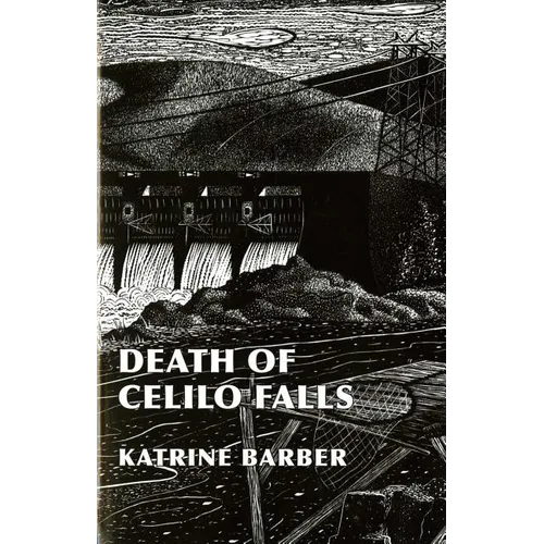 Death of Celilo Falls - Paperback