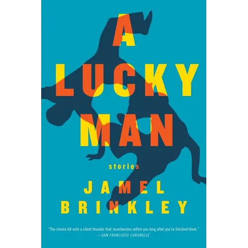A Lucky Man: Stories - Paperback