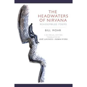 The Headwaters of Nirvana: Reassembled Poems - Paperback