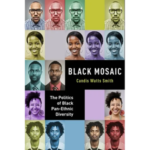 Black Mosaic: The Politics of Black Pan-Ethnic Diversity - Paperback