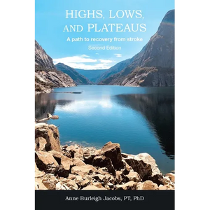 Highs, Lows, and Plateaus: A path to recovery from stroke - Paperback