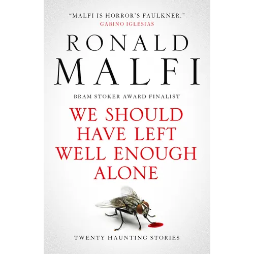 We Should Have Left Well Enough Alone - Paperback