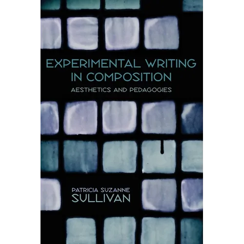 Experimental Writing in Composition: Aesthetics and Pedagogies - Paperback