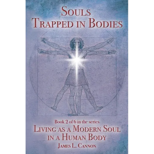 Souls Trapped in Bodies: The Nature and Purpose of the Human Soul - Paperback