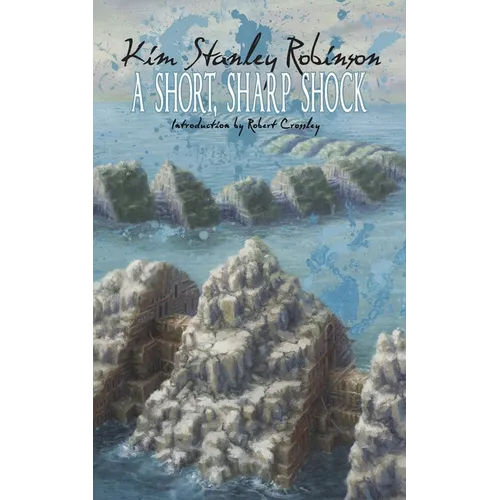 A Short, Sharp Shock - Paperback