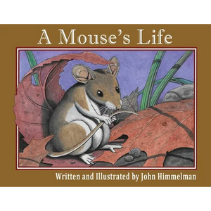 A Mouse's Life - Paperback