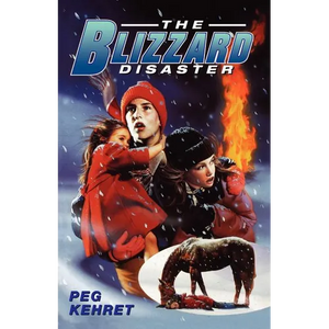 The Blizzard Disaster - Paperback