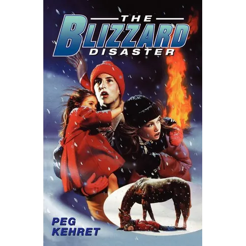 The Blizzard Disaster - Paperback