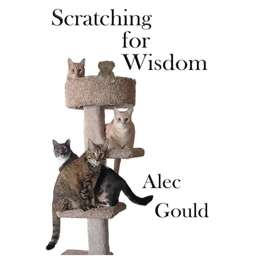 Scratching for Wisdom - Paperback