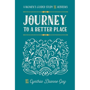 Journey To A Better Place: A Women's Guided Study of Hebrews - Paperback