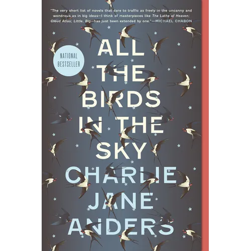 All the Birds in the Sky - Paperback